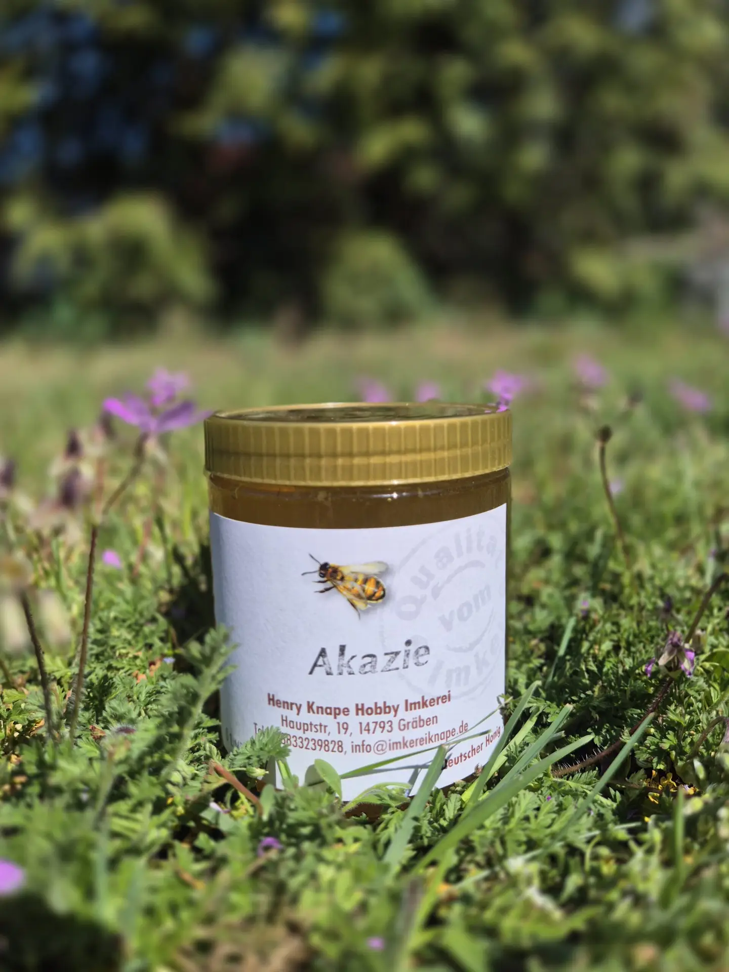 Akazie der Hobby Imkerei Knape