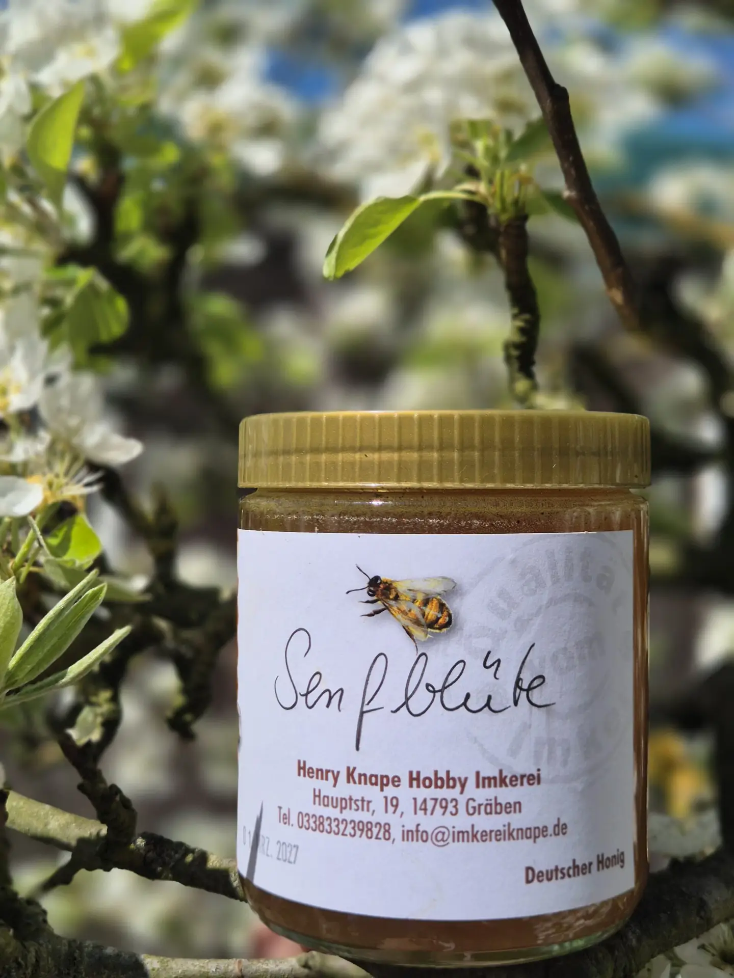 Brombeere der Hobby Imkerei Knape