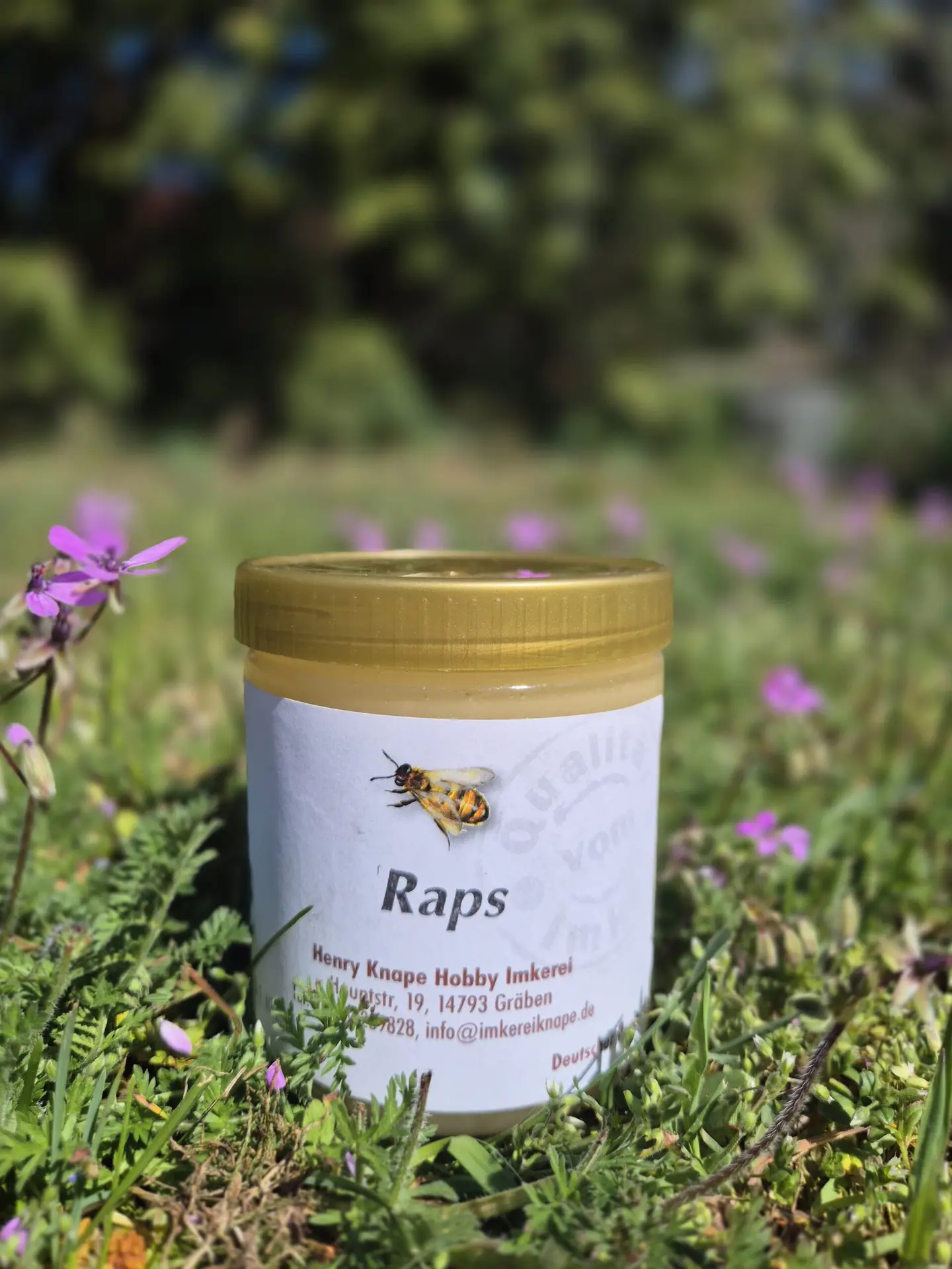Raps der Hobby Imkerei Knape
